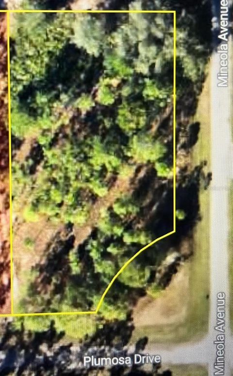 3250 PLUMOSA DRIVE INDIAN LAKE ESTATES FL 33855