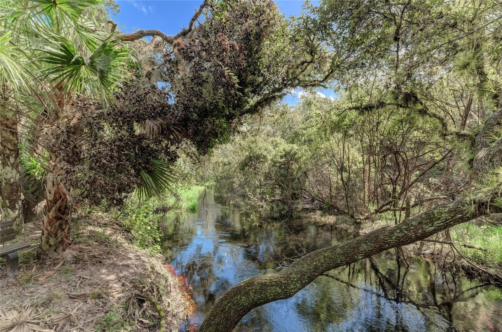 PORT CHARLOTTE SUB 33 - Residential