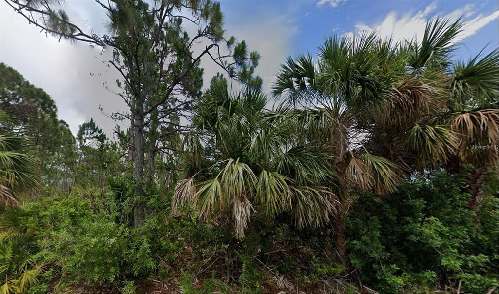 Photo of 2504 Lyric Street, Port Charlotte, FL 33953 (MLS # D6144170)