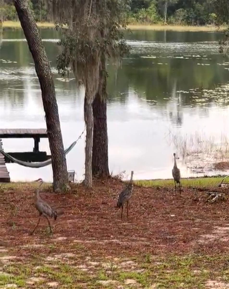 GOVT LEASE LT ROUND LAKE - Residential