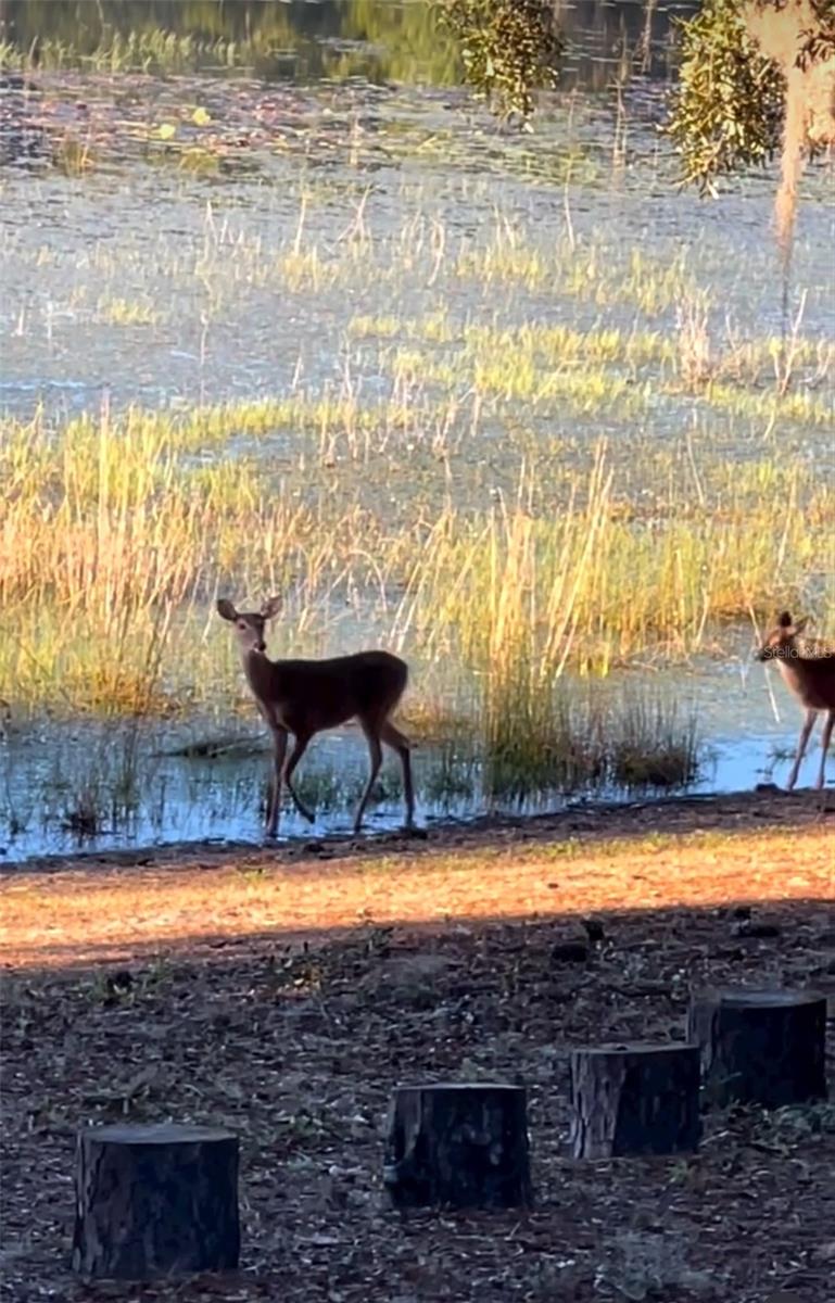 GOVT LEASE LT ROUND LAKE - Residential