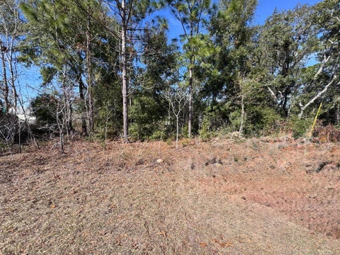 Tiny photo for 9052 N Burmany Way, Citrus Springs, FL 34433 (MLS # O6437137)