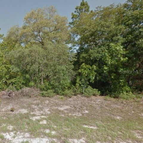Tiny photo for 9052 N Burmany Way, Citrus Springs, FL 34433 (MLS # O6437137)