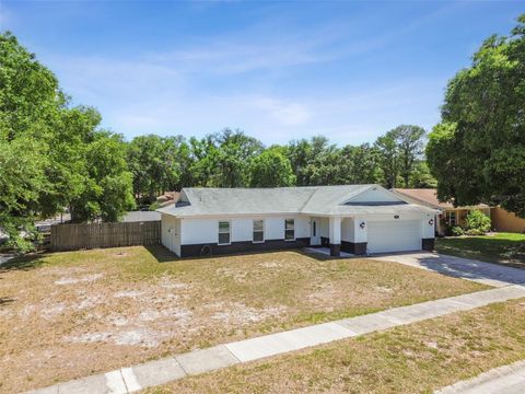 A home in TAMPA