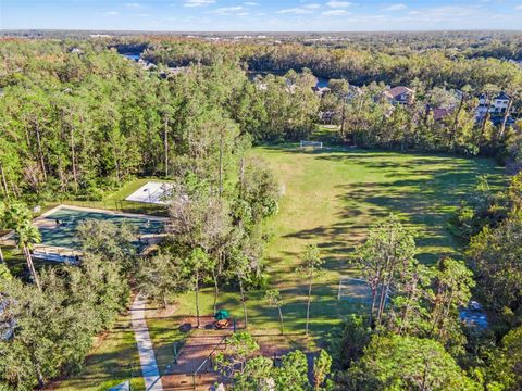 A home in WESLEY CHAPEL