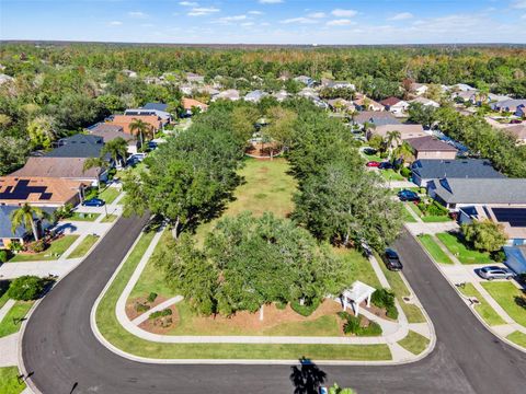 A home in WESLEY CHAPEL