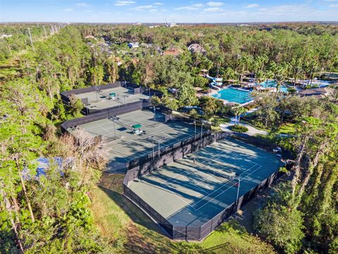 A home in WESLEY CHAPEL