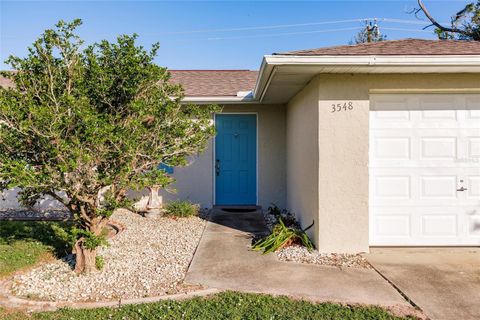 A home in PUNTA GORDA