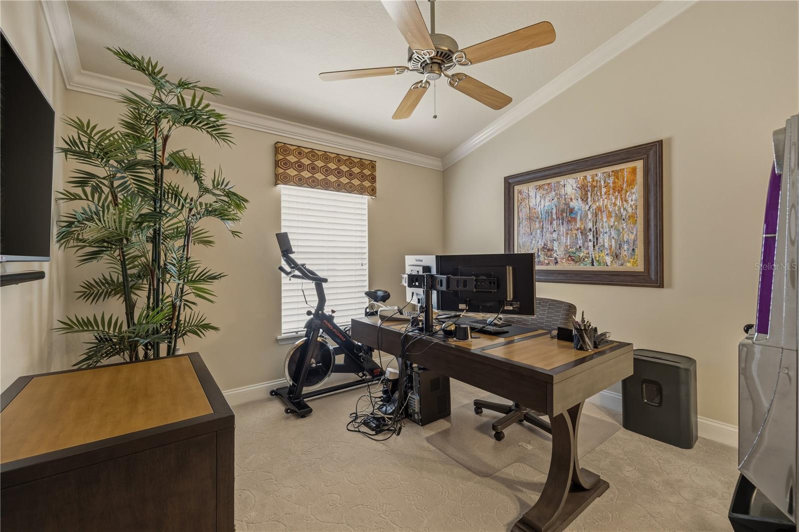SADDLE CREEK MANOR - Residential