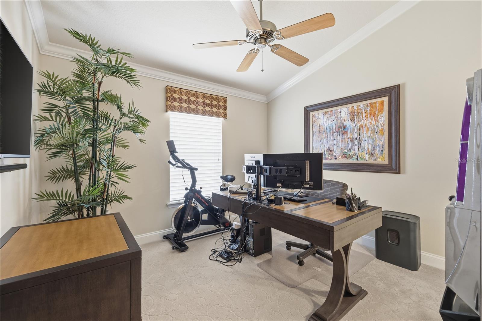 SADDLE CREEK MANOR - Residential