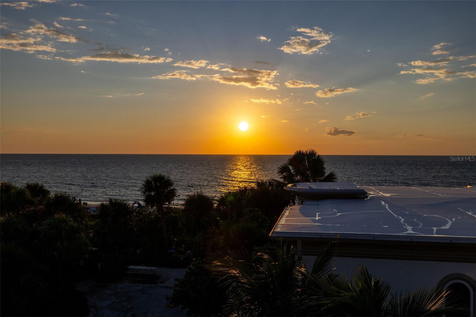 PALMS AT 1800 CONDO - Residential