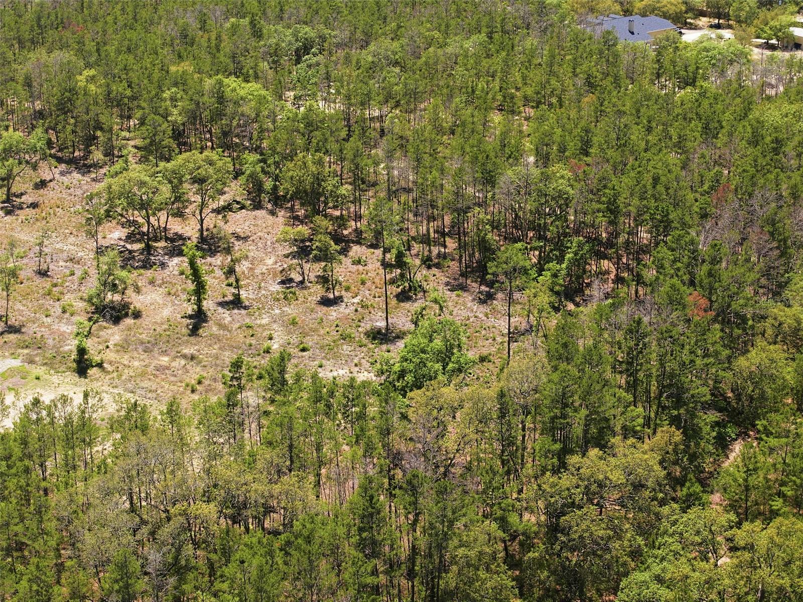 CENTRALIA TRAILS - Land