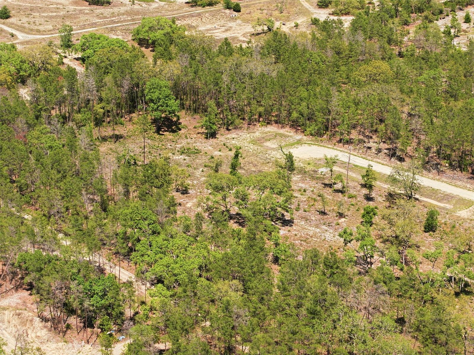 CENTRALIA TRAILS - Land