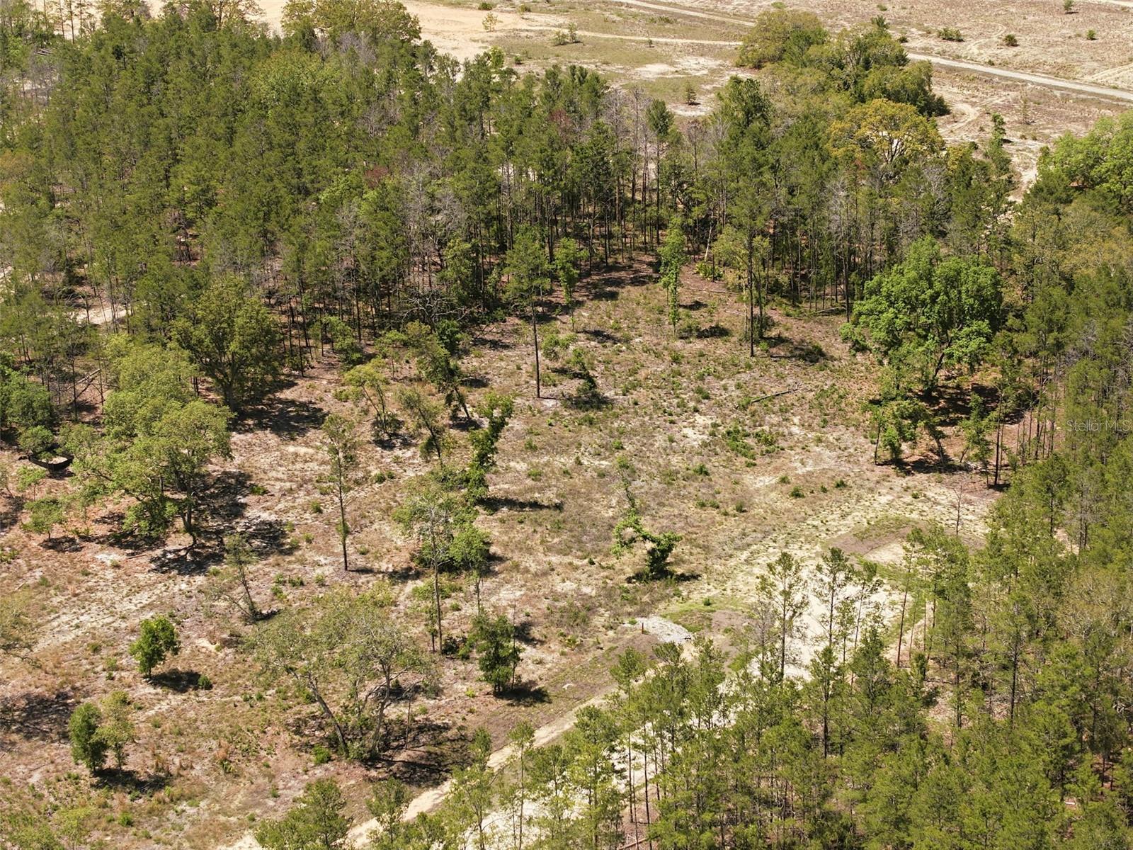 CENTRALIA TRAILS - Land