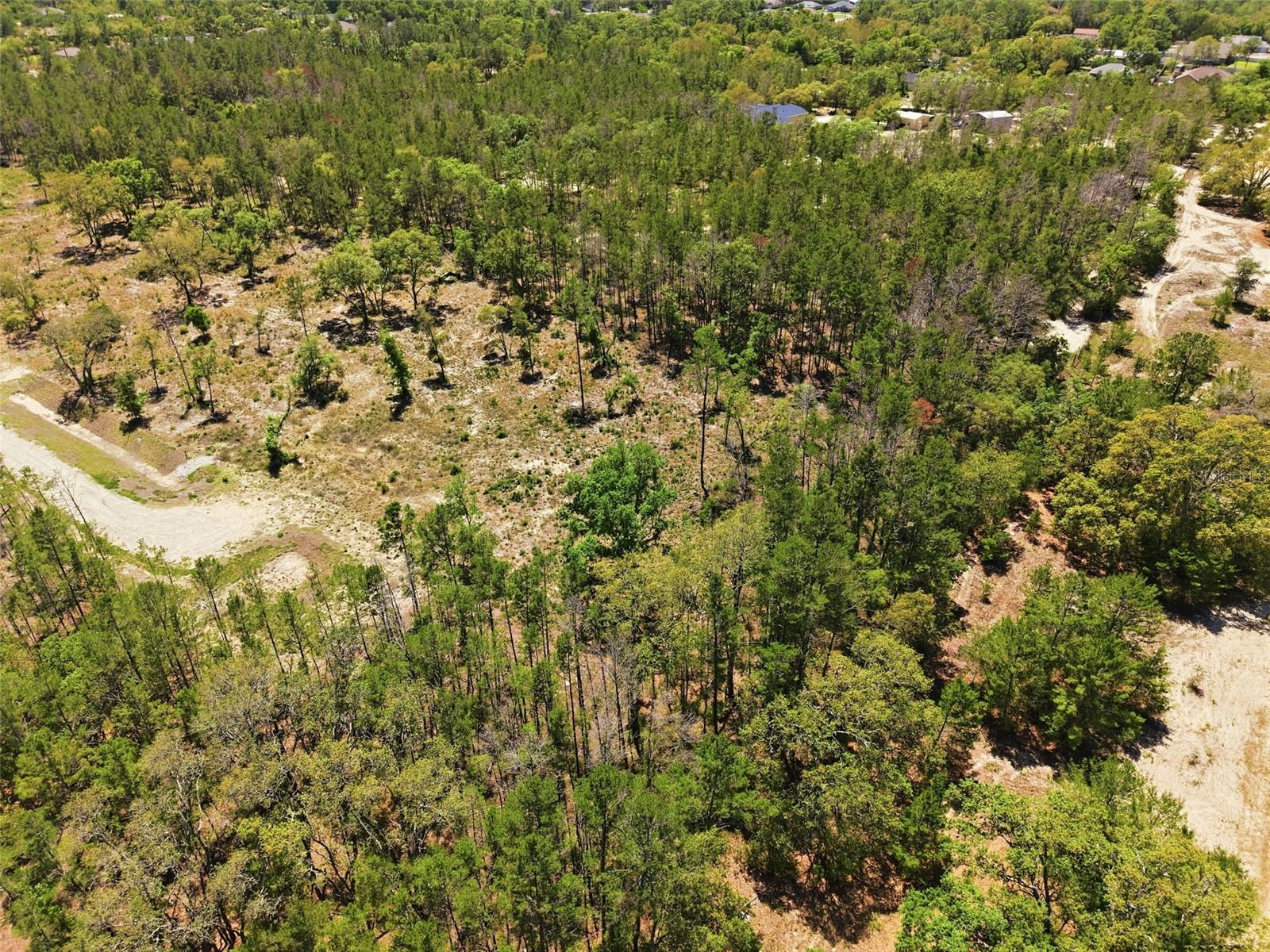 CENTRALIA TRAILS - Land