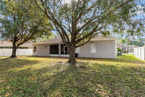 A home in PALM COAST