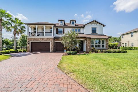 17724 DAISY FARM DRIVE LUTZ FL 33559