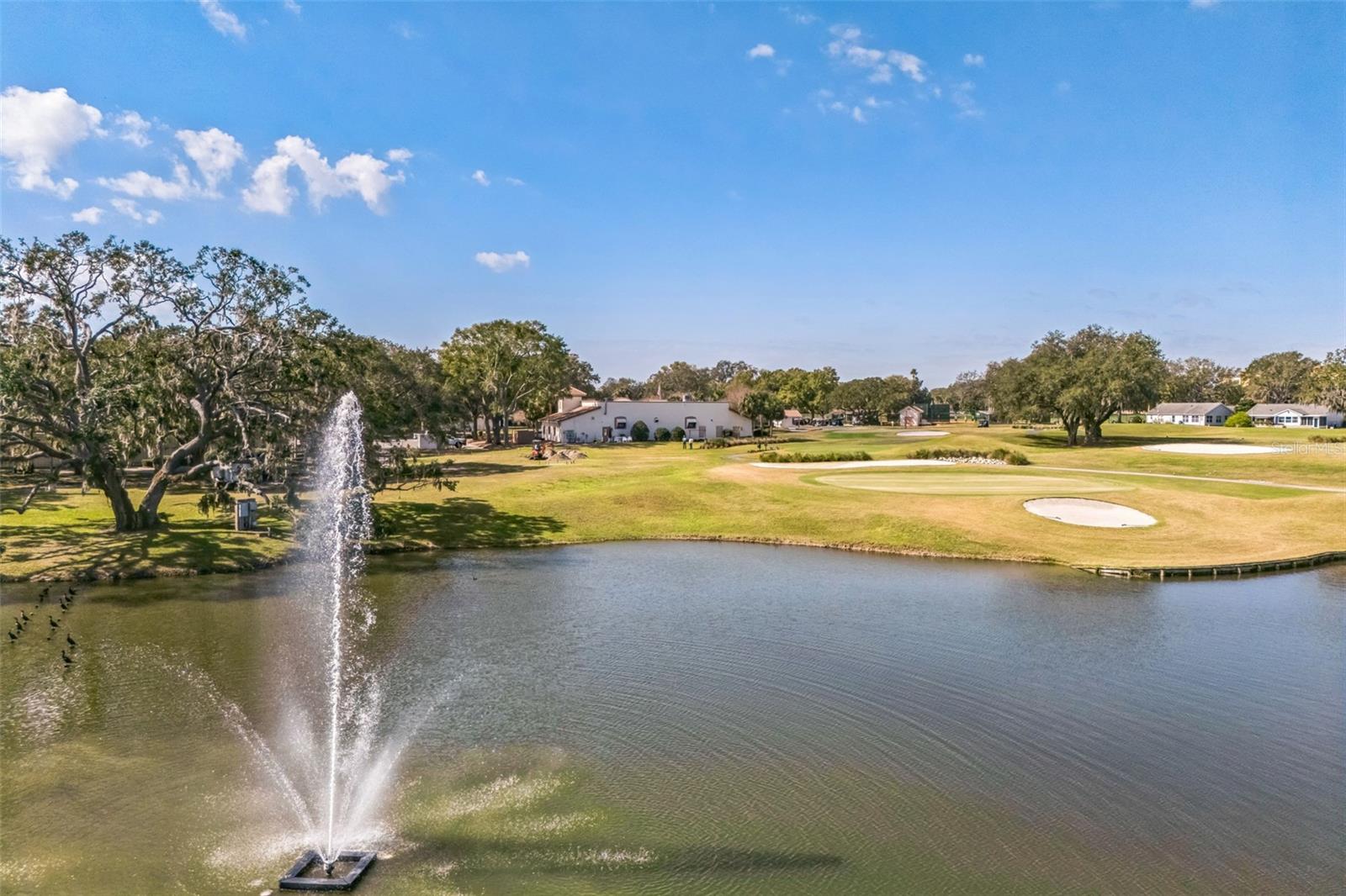 LADY LAKE ORANGE BLOSSOM GARDENS UNIT 07 - Residential