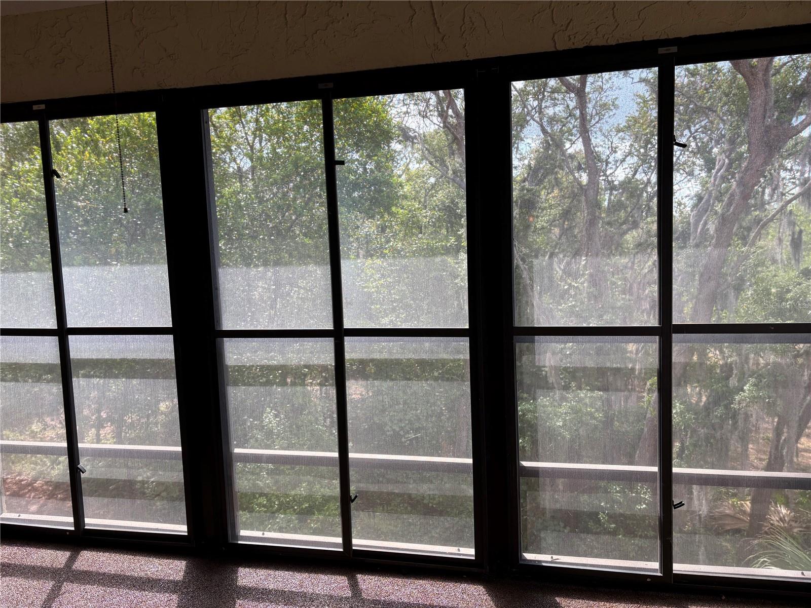 FOREST LAKE CONDO - Residential