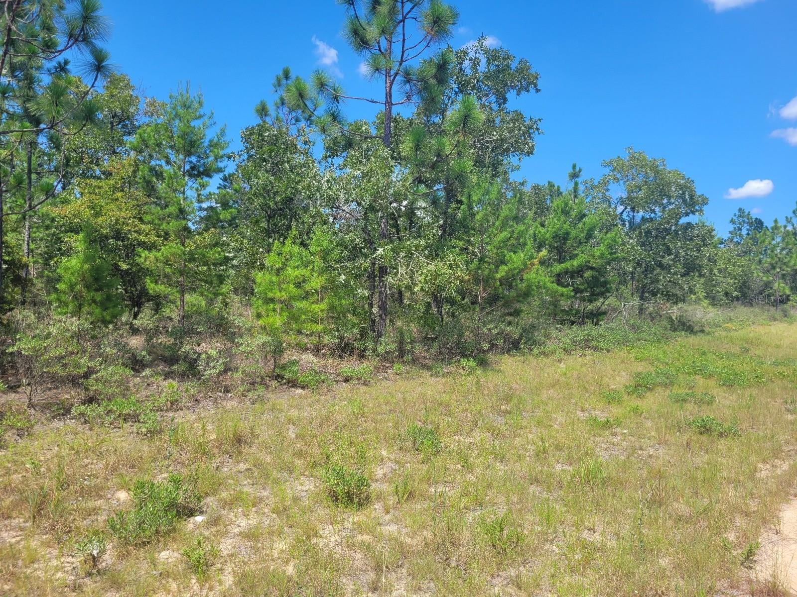 SUNNY HILLS UN #5 - Land