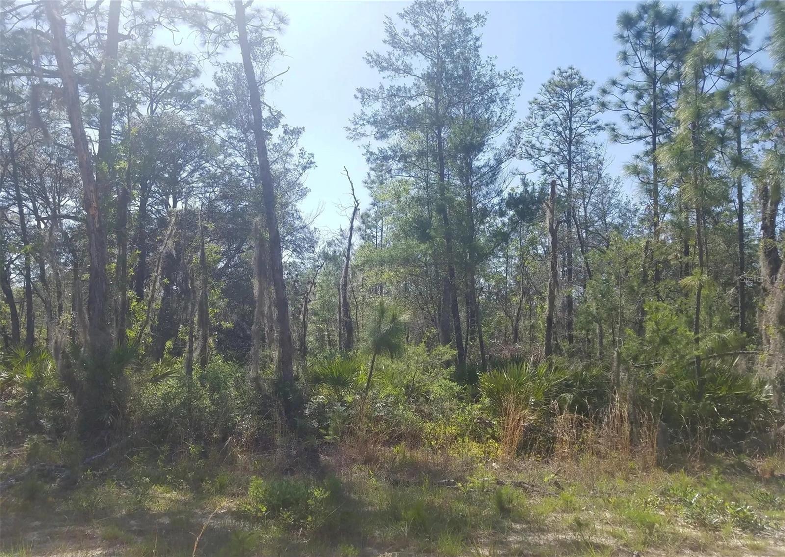 INTERLACHEN LAKES ESTATES UNIT #16