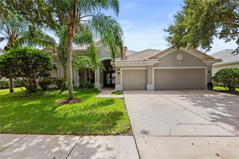 Photo of 10209 Waterside Oaks Drive, Tampa, FL 33647 (MLS # TB8428614)