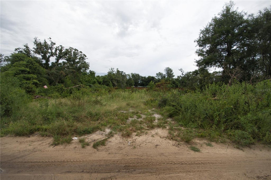 Photo of SE 144th Lane, Umatilla, FL 32784 (MLS # G5117128)