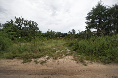 Photo of SE 144th Lane, Umatilla, FL 32784 (MLS # G5117128)