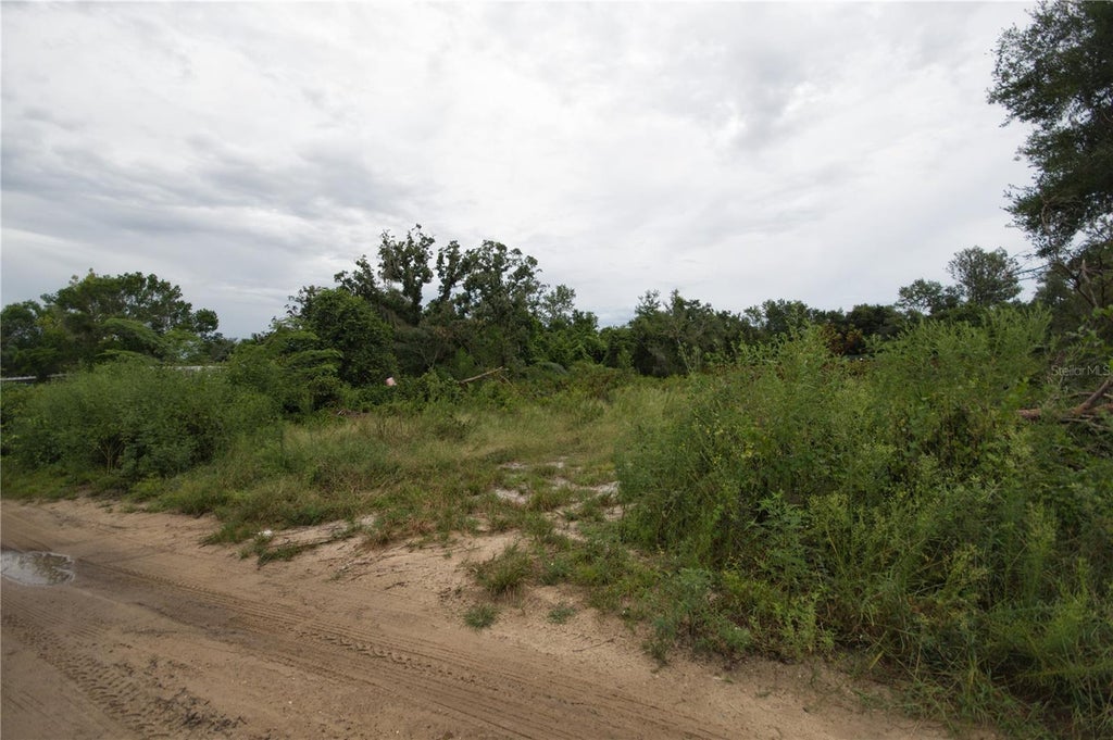 Photo of SE 144th Lane, Umatilla, FL 32784 (MLS # G5117128)