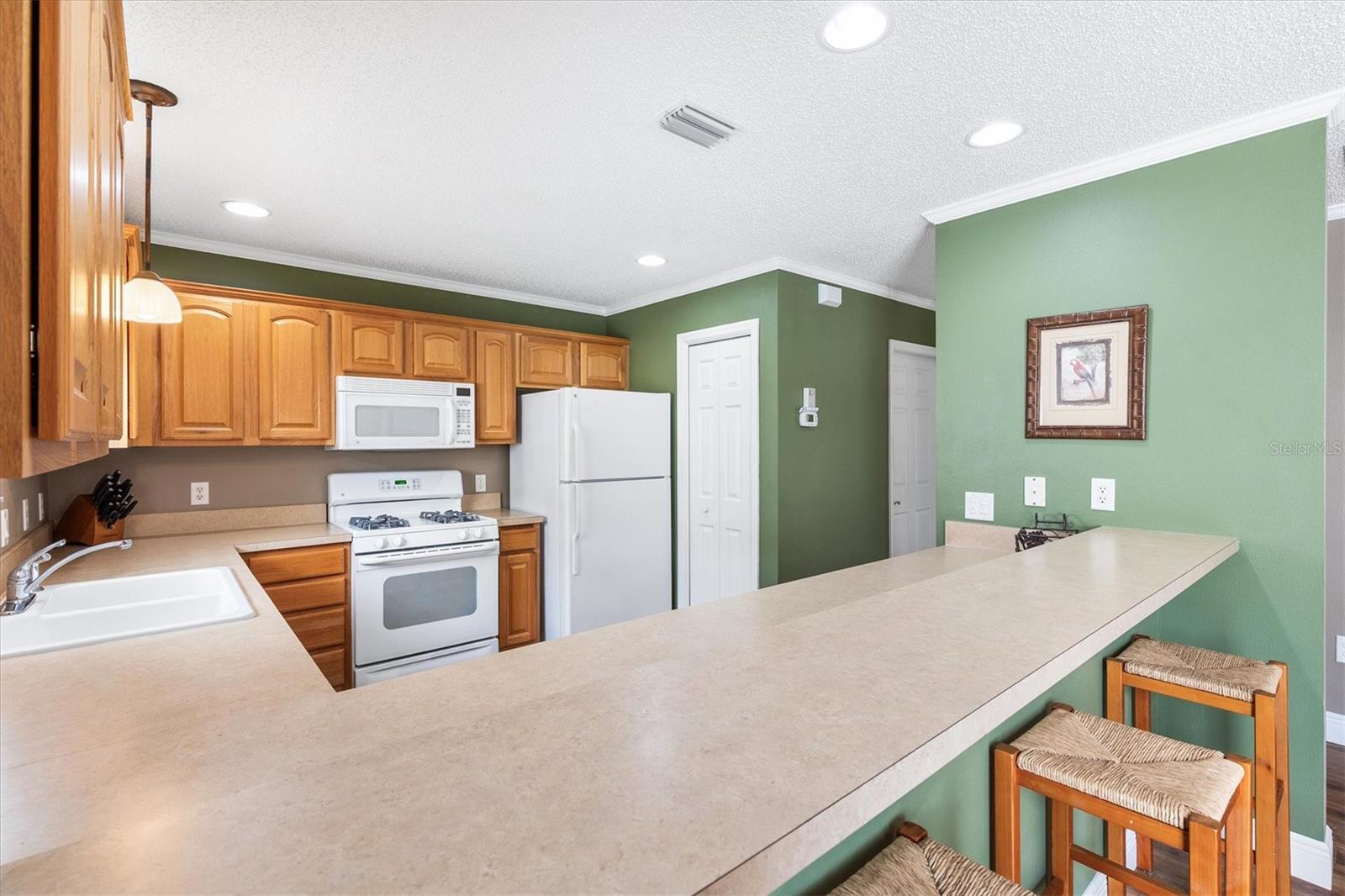 VILLAGES OF SUMTER CARLTON VILLAS - Residential