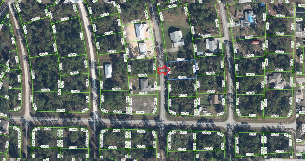 Photo of 1105 Redbird Street, Lake Placid, FL 33852 (MLS # A4583125)