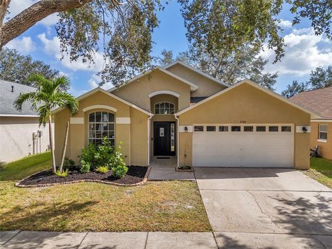 A home in RIVERVIEW