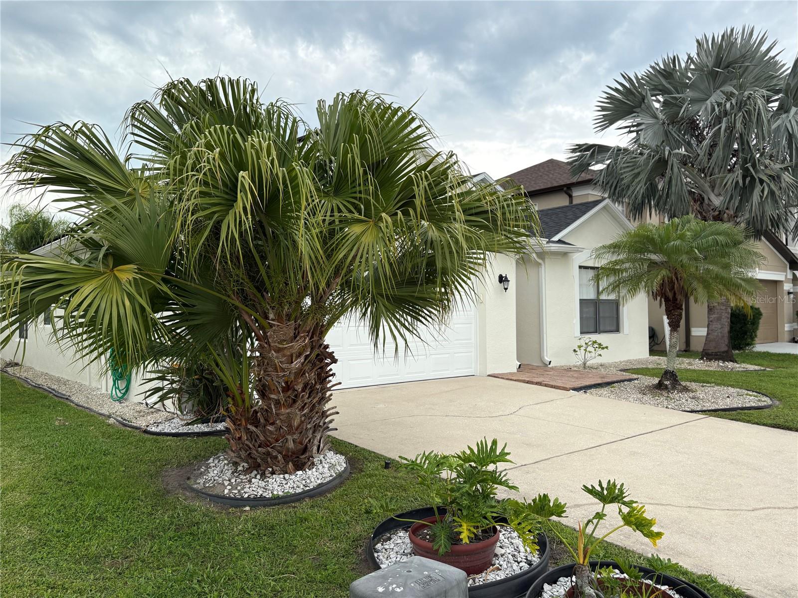 2812 TOWER ROCK STREET