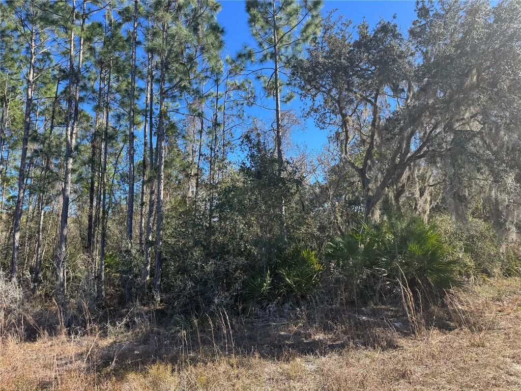 Photo of Grace Avenue, Deland, FL 32720 (MLS # V4947453)