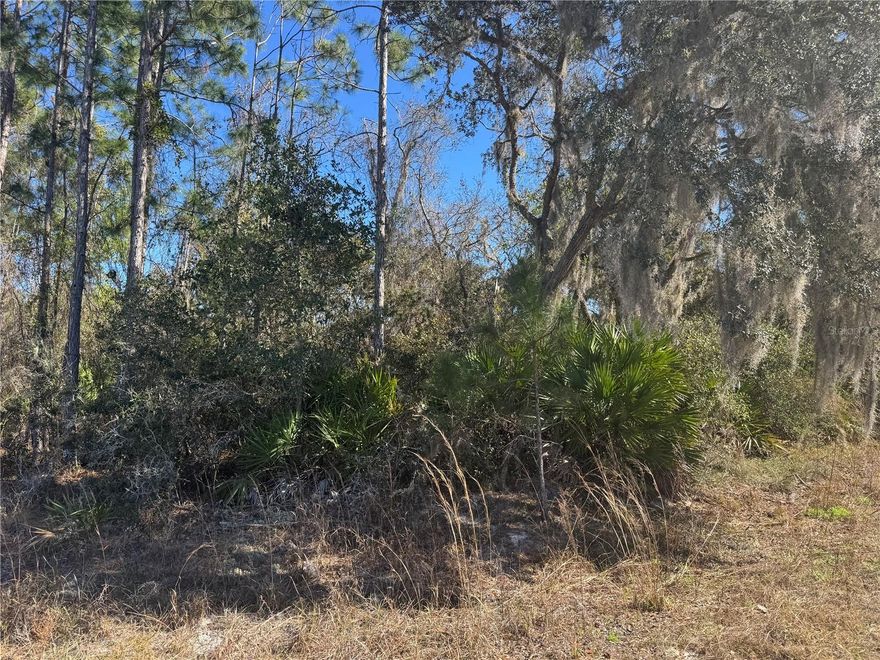 Have you been looking for an affordable piece of land to build on?  Well here it is, this over 1 acre piece of property in Lake County, Fl looks to have it all while having easy access to the 429 and/or back to Deland/Eustis.  This parcel is on the corner of a paved and dirt road so you have the convenience of the paved road and can also have a seperate side entry!  You may also have the option of splitting the lot for multiple homes.  Check it out!