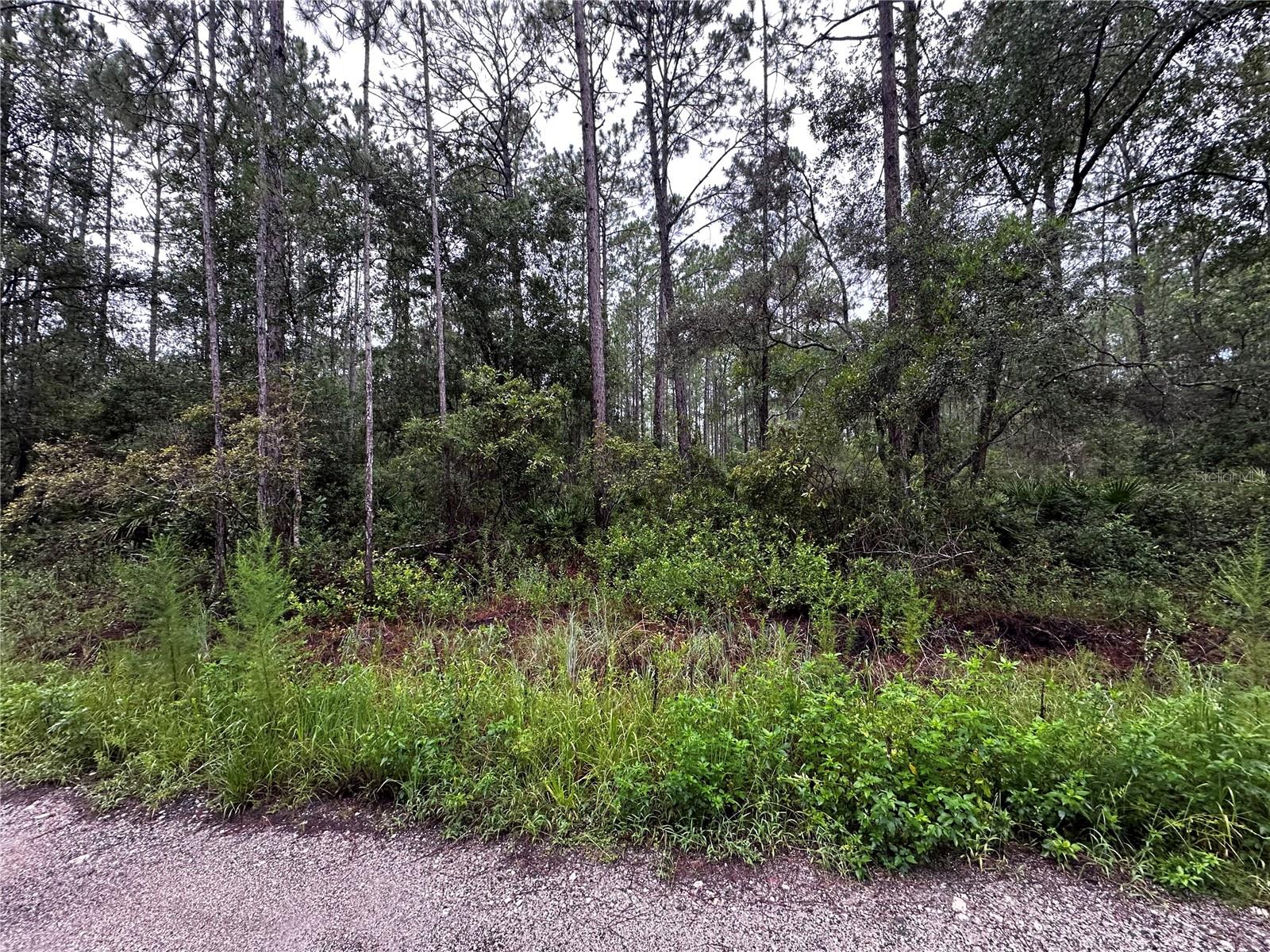 Looking for peace and quiet, welcome to Citra, Florida. This parcel is a beautiful six lot property. You can split the parcel into four or six lots. Remarkably close to the Ocala National Forest, Horseshoe Lake Park, Hawthorne, Palatka, Ocala, Gainesville, and Lake County. Have fun in the nearby Springs and enjoy the beautiful nature of Florida. This beautiful vacant residential lot is an excellent investment. The natural beauty of this property presents a great setting for your future dream home. If you are looking to build a home or invest in real estate this property is perfect. Citra is filled with many wide-open spaces, rolling hills, and citrus groves. If you are a sportsman ready to have some fun exploring nearby parks and sparkling lakes this property is for you. You can purchase the entire parcel or separate lots.