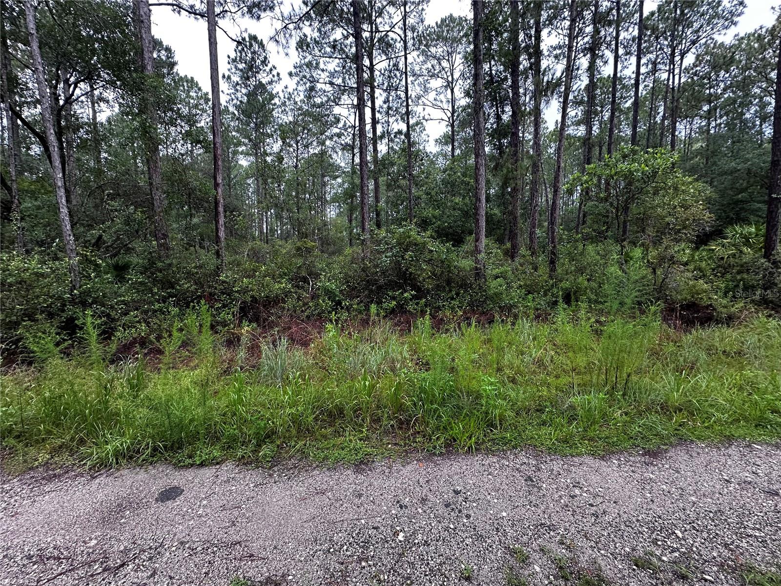 BLACK SINK PRARIE CAMPSITES - Land