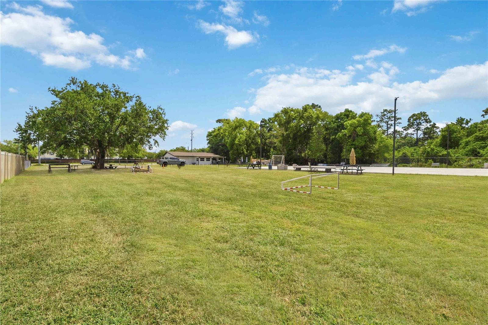 LOS TERRANOS - Residential