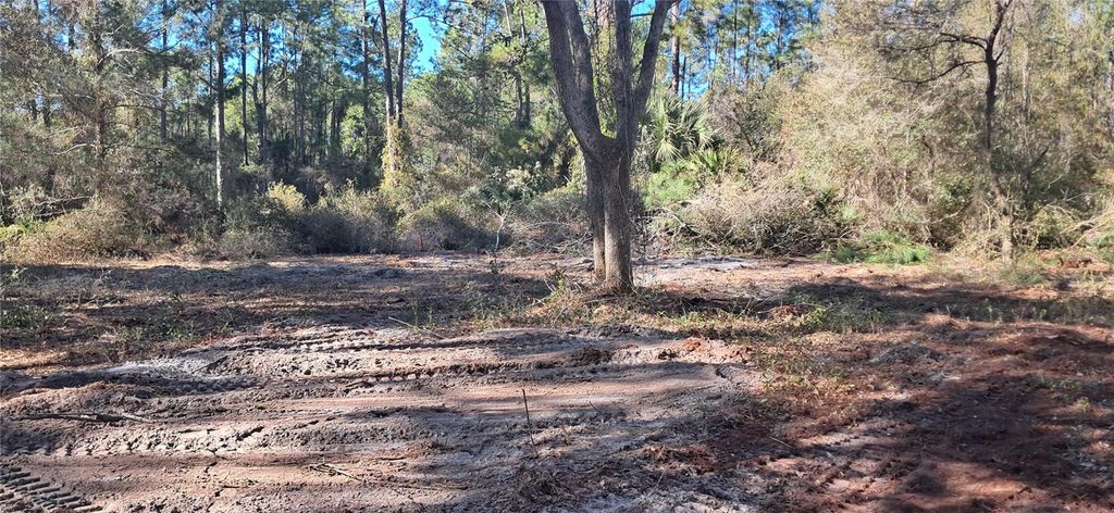 Photo of 120 Gardenia Avenue, Georgetown, FL 32139 (MLS # K4903413)