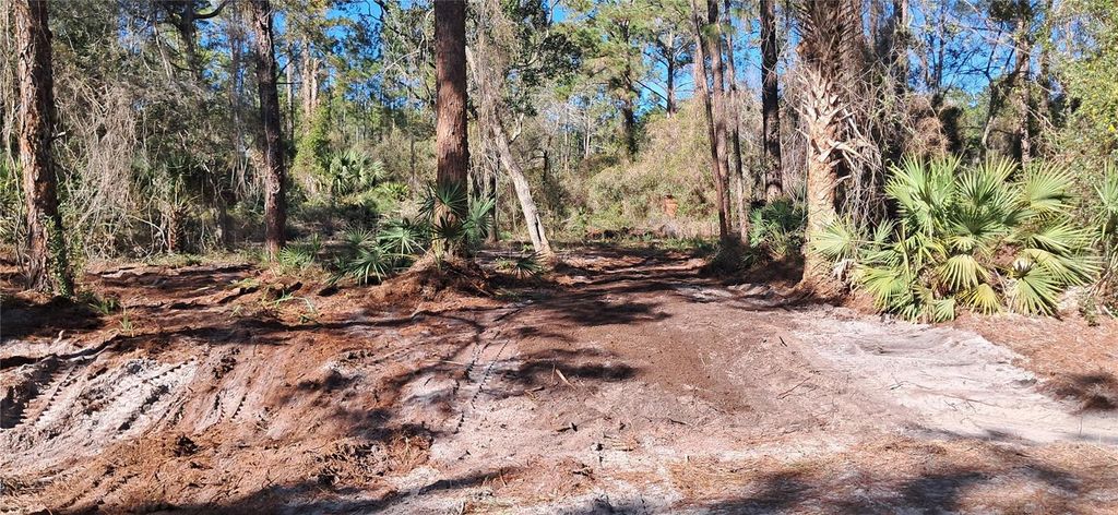 Photo of 120 Gardenia Avenue, Georgetown, FL 32139 (MLS # K4903413)