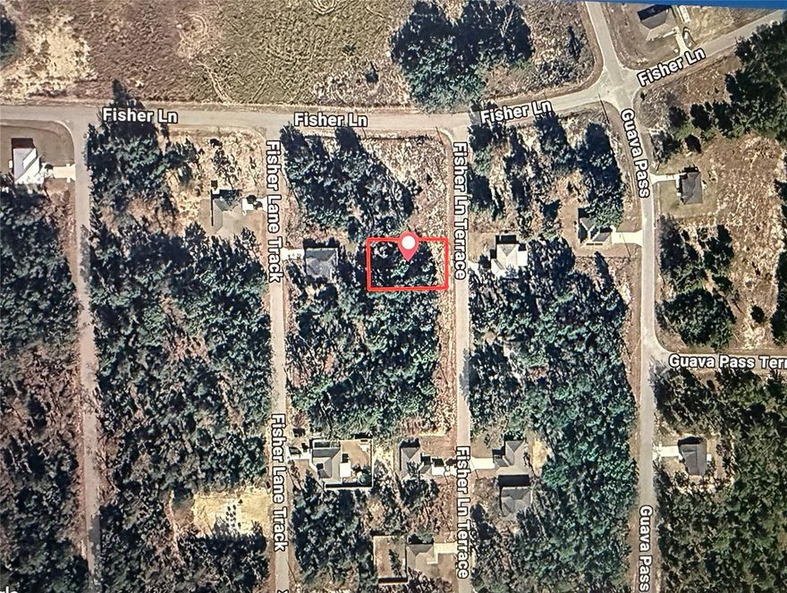 Great opportunity to own land at an exceptional price! Don’t miss this chance to acquire a residential lot located at in Marion County—an area experiencing steady growth and surrounded by natural beauty. This property offers the ideal setting to build a home and achieve excellent potential return on investment. The lot is conveniently located near Lake Weir and the Ocala National Forest, offering a peaceful environment with access to outdoor recreation, boating, fishing, and nature trails. The area is also within a short drive to Ocala, The Villages, shopping, dining, and major highways, making it an attractive location for both homeowners and investors. Only $15,000 for this fantastic opportunity to secure land in a desirable and developing area. We also offer an optional construction project for buyers interested in building on the property. Additional lots are available at the same price, creating an excellent opportunity for investors or builders looking to expand their portfolio. Don’t miss this opportunity—contact us today for more information!