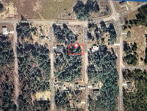 FISHER LANE OCKLAWAHA FL 32179