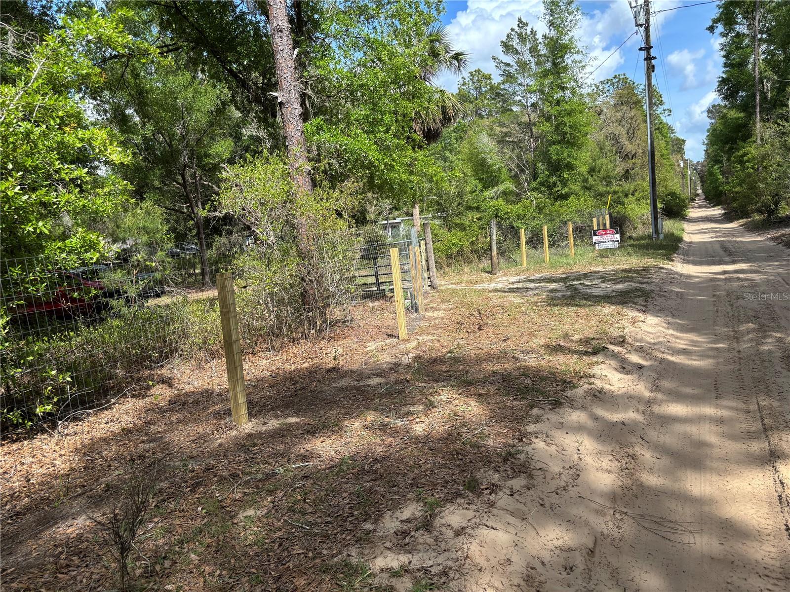 24533 PINK PANTHER ROAD