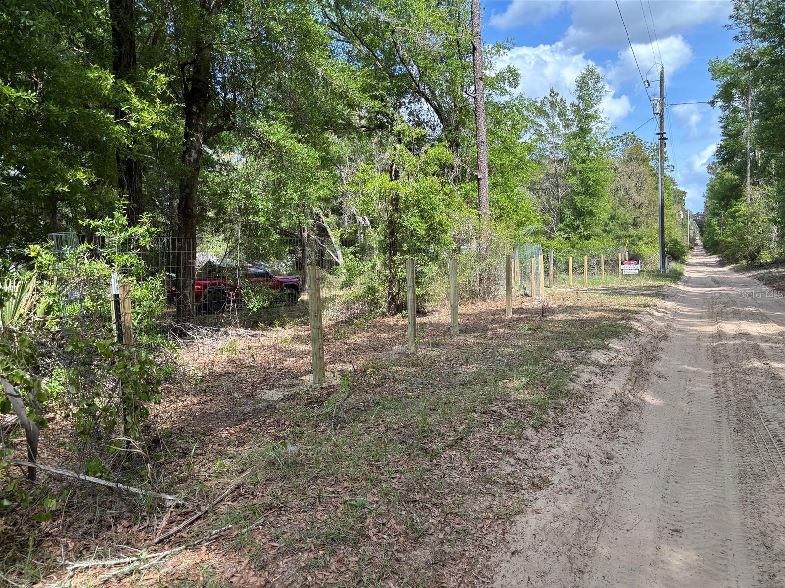 24533 PINK PANTHER ROAD