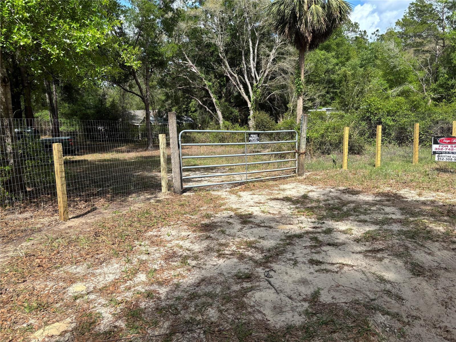 24533 PINK PANTHER ROAD