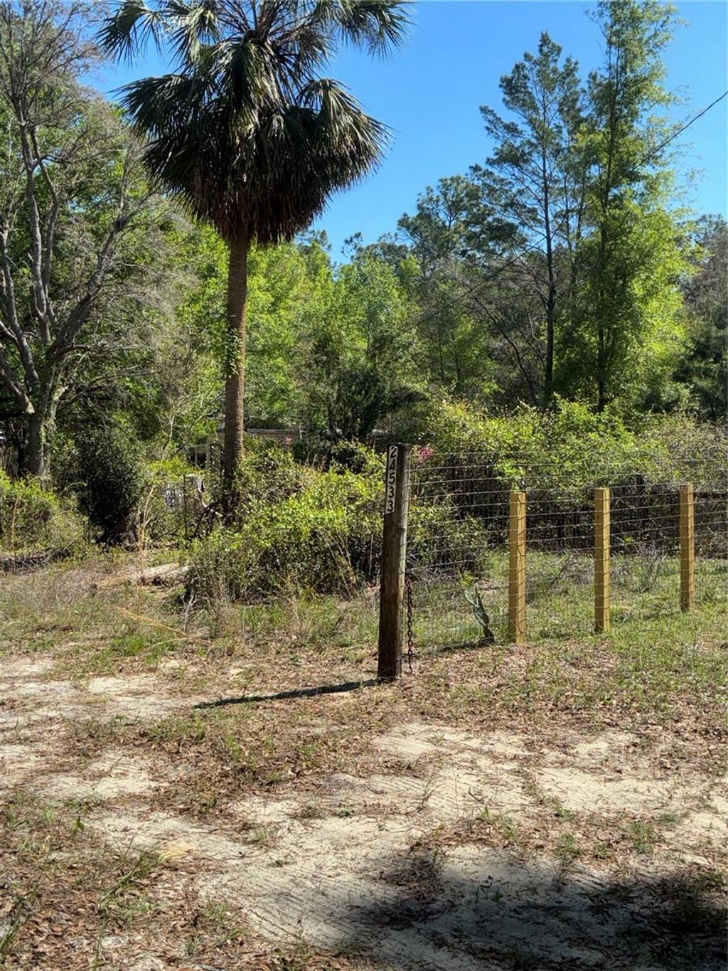 Photo of 24533 Pink Panther Road, Paisley, FL 32767 (MLS # G5110075)