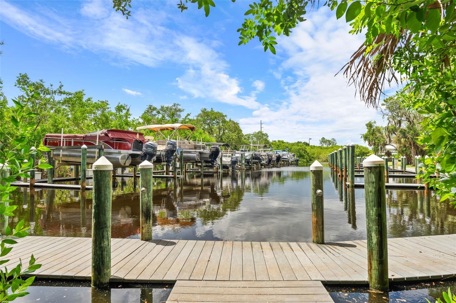 HARBORAGE ON BRADEN RIVER PH II - Residential