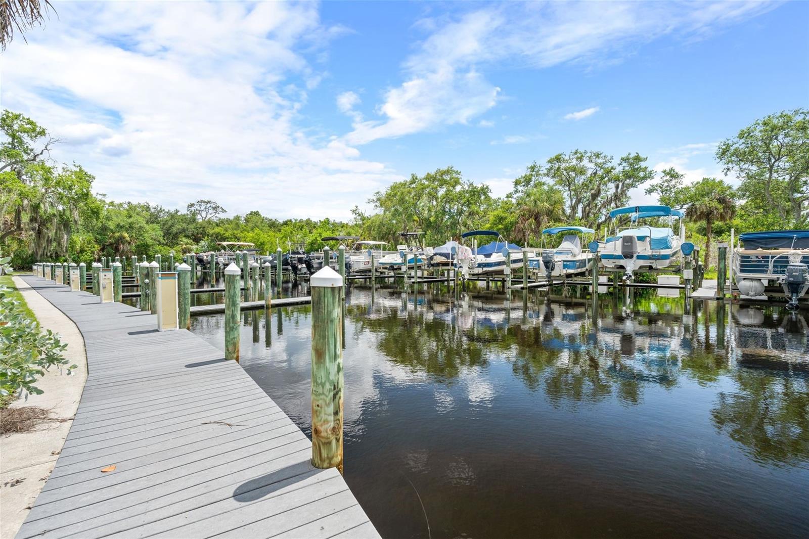 HARBORAGE ON BRADEN RIVER PH II - Residential
