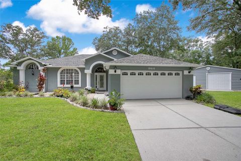 Photo of 19616 Livingston Avenue, Lutz, FL 33559 (MLS # TB8520694)