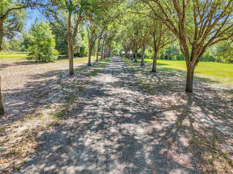 Tiny photo for 3325 S Hwy 314a, Ocklawaha, FL 32179 (MLS # OM724052)
